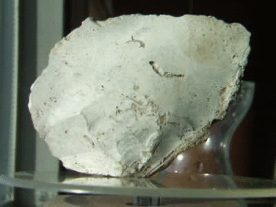 Ovate scraper: sharpend edge and wear usage visable, with bulb of percussion